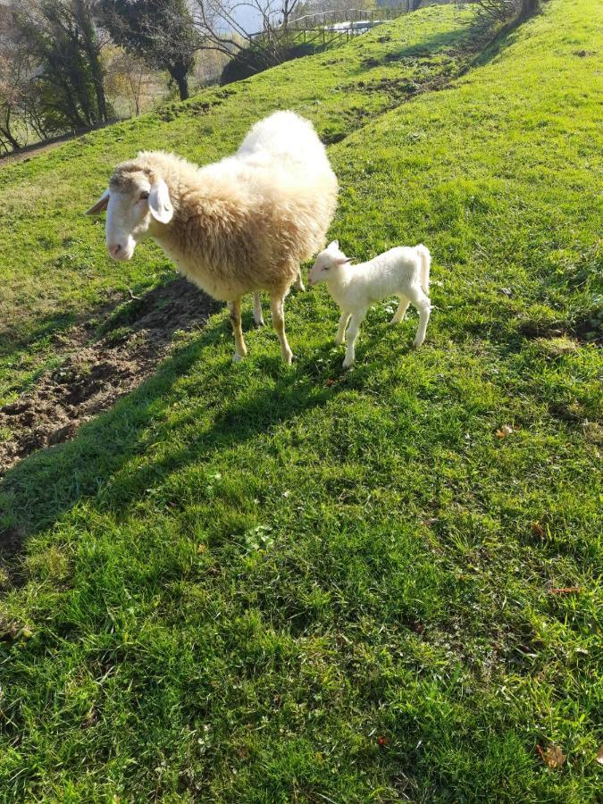 Tenuta La Scure La Cappella Villa Cortona Dış mekan fotoğraf