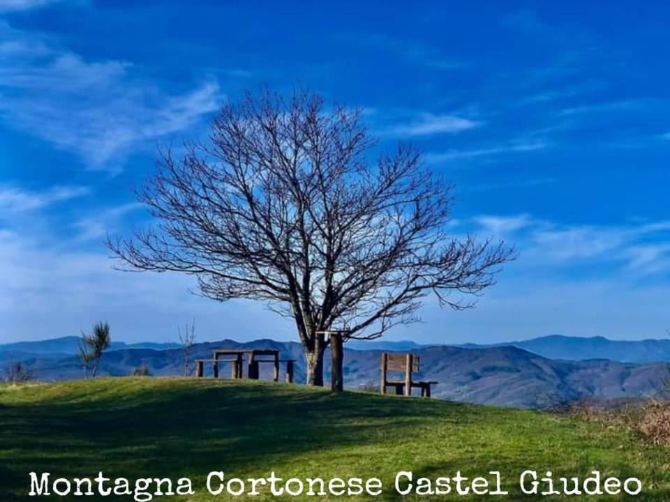 Tenuta La Scure La Cappella Villa Cortona Dış mekan fotoğraf